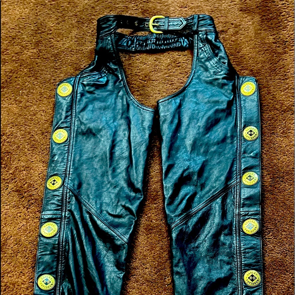 Riding Chaps.  HD one time buy item.